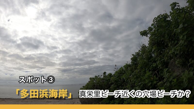 2022/11/13 (12)多田浜海岸